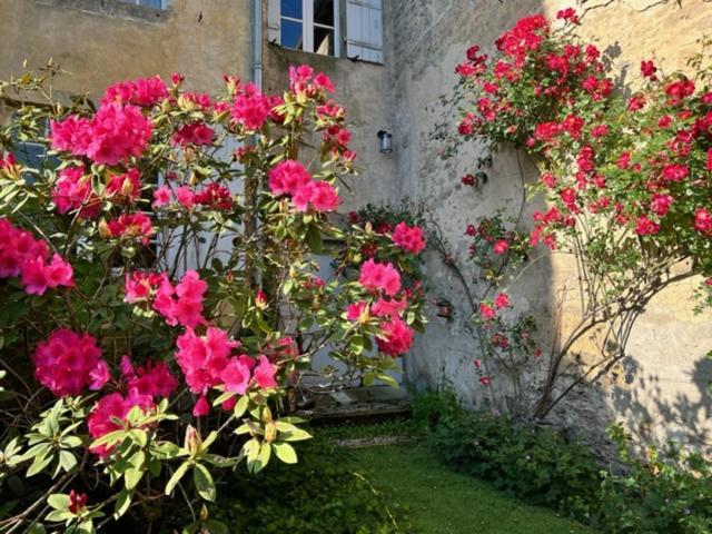Le Clos De La Cathedrale Bazas Eksteriør billede